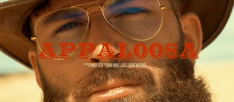 "Appaloosa" : Le nouveau clip Western Spaghetti de Jaasper !